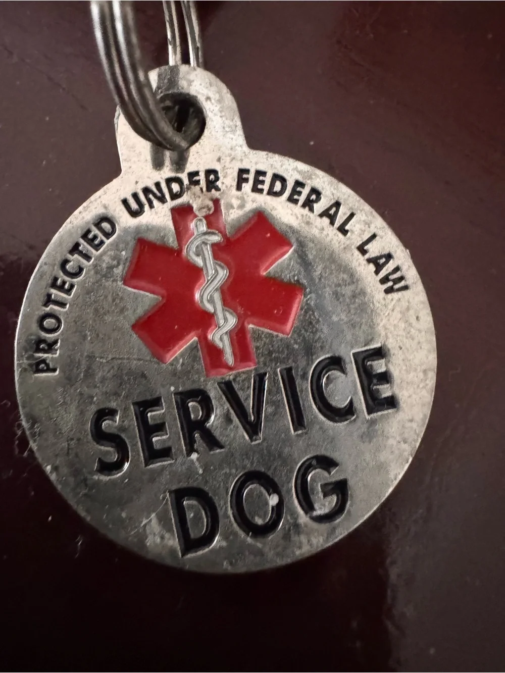 Service Dog Tag Charm - Silver with Red Emblem